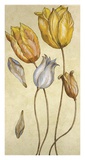 Buy Vintage II at AllPosters.com