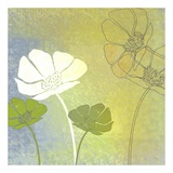 Buy Poppy Shadows II at AllPosters.com