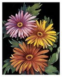 Buy Midnight Bloom III at AllPosters.com