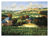 Buy Vineyards of Provence at AllPosters.com