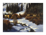 Winter Range Elk