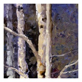 Buy Beautiful Winter (detail no. 9) at AllPosters.com