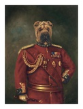 Major General Woof