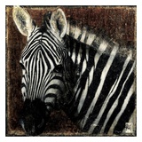 Portrait de Zebre