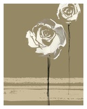 Buy Amici at AllPosters.com
