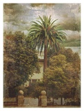 Buy Morning Walk at AllPosters.com