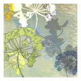 Buy Wildflower Textures at AllPosters.com
