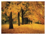 Buy Gold of Autumn East at AllPosters.com
