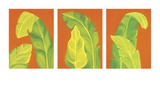 Buy Life in the Tropics at AllPosters.com