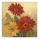 Buy Gerber Daisies I at AllPosters.com