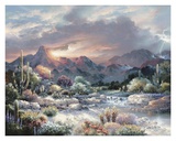 Buy Sonoran Sunrise at AllPosters.com