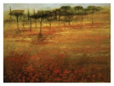 Buy The Forest Afar at AllPosters.com