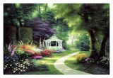 Tree Lined Path