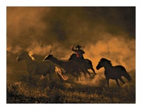 Buy Copper Glow at AllPosters.com
