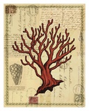 Buy Red Coral I at AllPosters.com