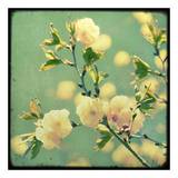 Vintage Botanical IV