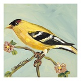 Bird Square I