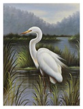 Buy Morning Egret at AllPosters.com