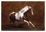 Buy Bella III at AllPosters.com