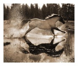 Buy Running on Water III at AllPosters.com