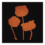 Buy Fiore Arancione at AllPosters.com