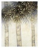 Bamboo Canopy Two