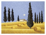 Buy Cypress and Hay at AllPosters.com