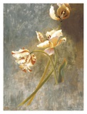 Buy Tulip Rhythms at AllPosters.com