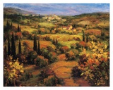 Umbria Panorama