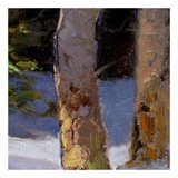 Buy Majestic Winter (detail no. 6) at AllPosters.com