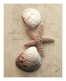 Seaside Collection I