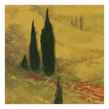 Buy Poppies of Toscano II, no. 5 at AllPosters.com