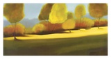 Buy Drifting Towards A Dream at AllPosters.com