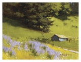 Buy Old Timer at AllPosters.com