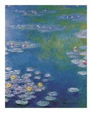 Waterlilies at Giverny