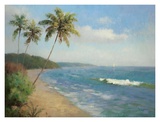 Buy Palma de la Playa at AllPosters.com