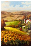 Italian Countryside
