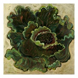 Buy Lettuce at AllPosters.com