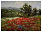 Buy Meadow of Wildflower at AllPosters.com