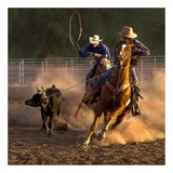 Roping on the Ranch II Color