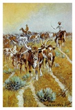 Texas Longhorns