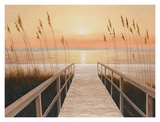 Walkway to Sea