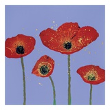 Buy Sky Poppies II at AllPosters.com