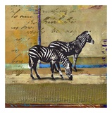 Buy Serengeti Zebra at AllPosters.com