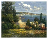 Summer Vista