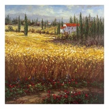 Buy Tuscan Wheat at AllPosters.com