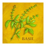 Buy Basil at AllPosters.com