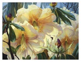 Buy Wildwood Spring at AllPosters.com