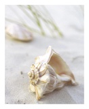 Sandy Beach III