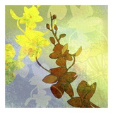 Buy Orchid Shadows II at AllPosters.com